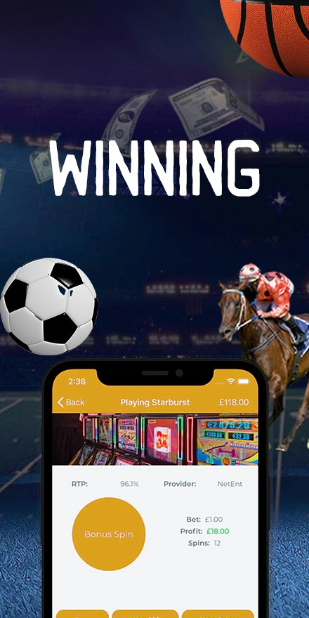 Bet To Win Screenshot